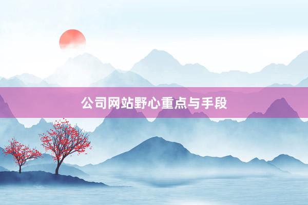 公司网站野心重点与手段