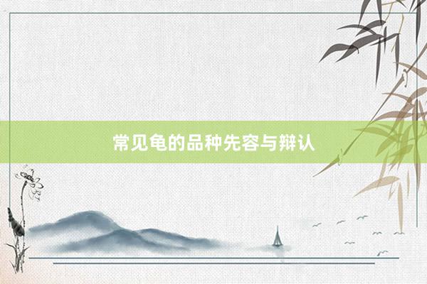常见龟的品种先容与辩认